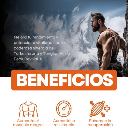 Turkesterone & Tongkat Ali Suplemento 1000mg